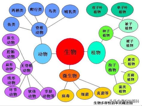 界門綱目科屬種查詢|界門綱目科屬種:分類系統,兩界,三界,四界,五界,兩總界。